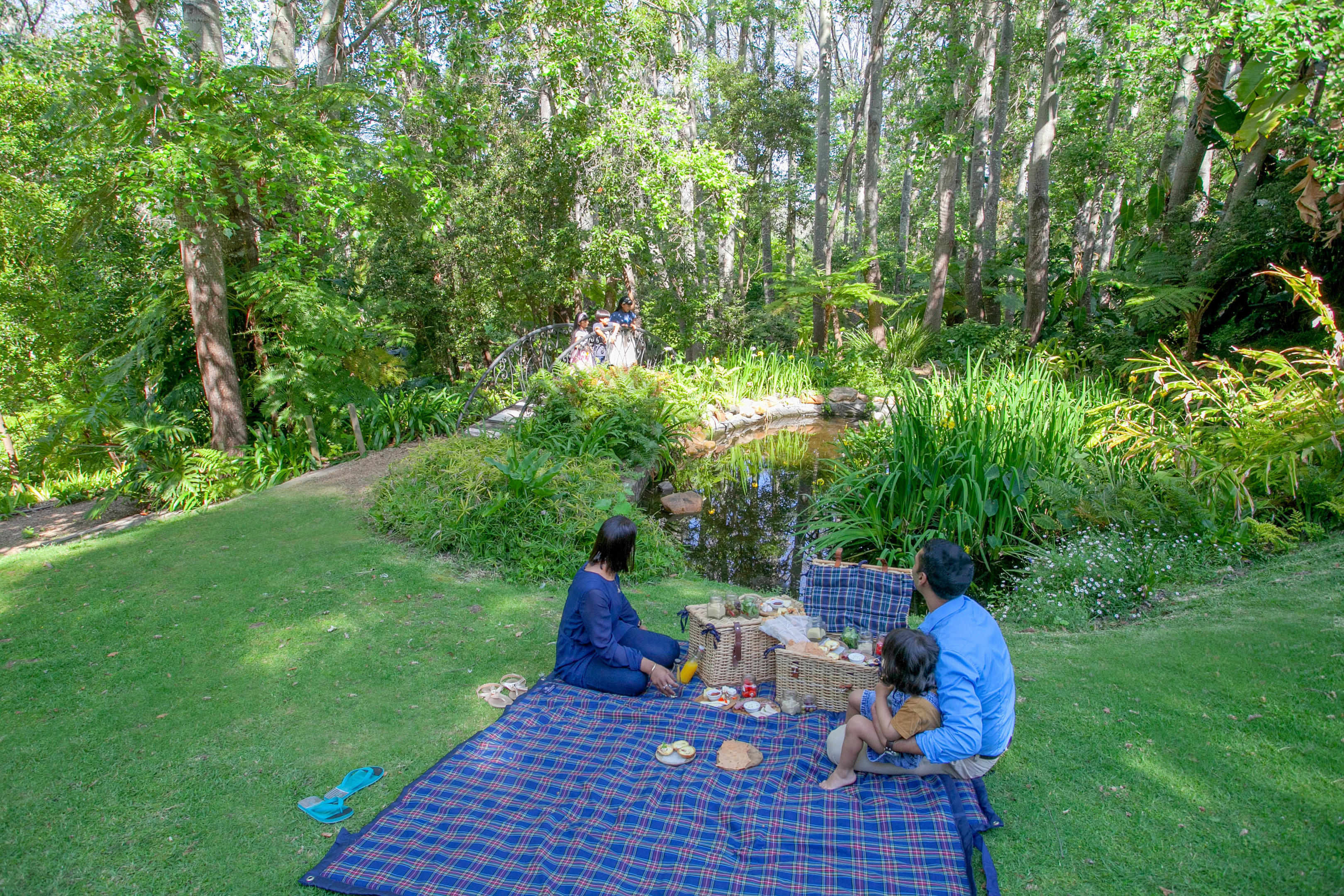 The Cellars Hohenort thumbnail 6